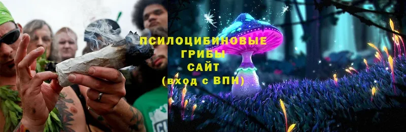 Галлюциногенные грибы Cubensis  Моздок 